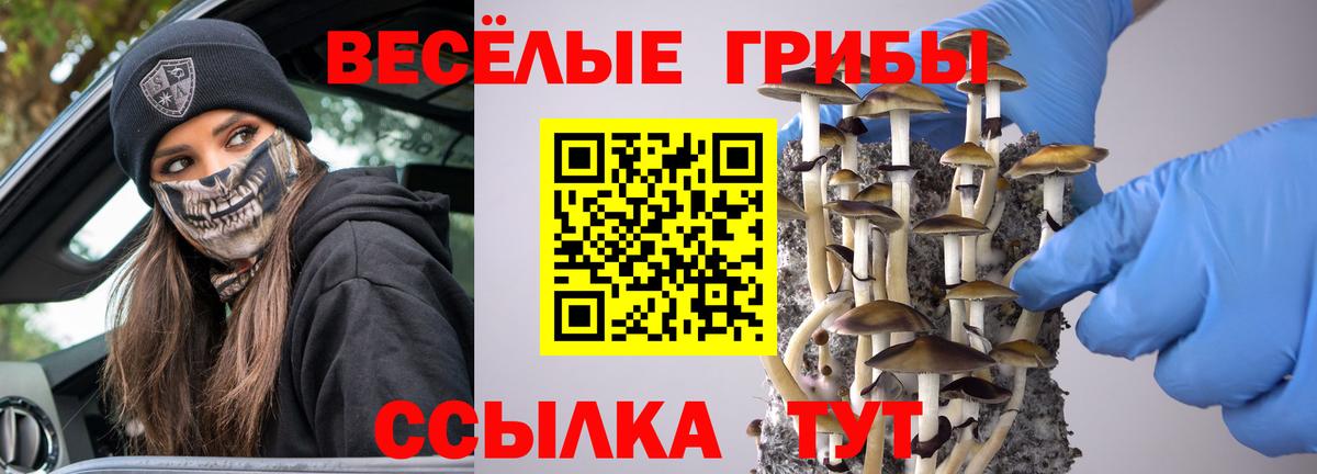 Вязники  магазин    Псилоцибиновые грибы MAGIC MUSHROOMS  Вход с VPN  Псилоцибиновые грибы Psilocybine cubensis 
